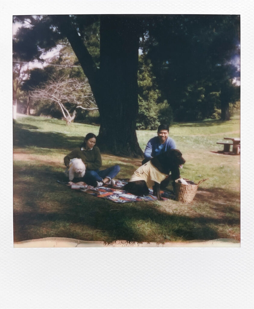 Engagement photos with dogs at Daylesford Lake, polaroid -1