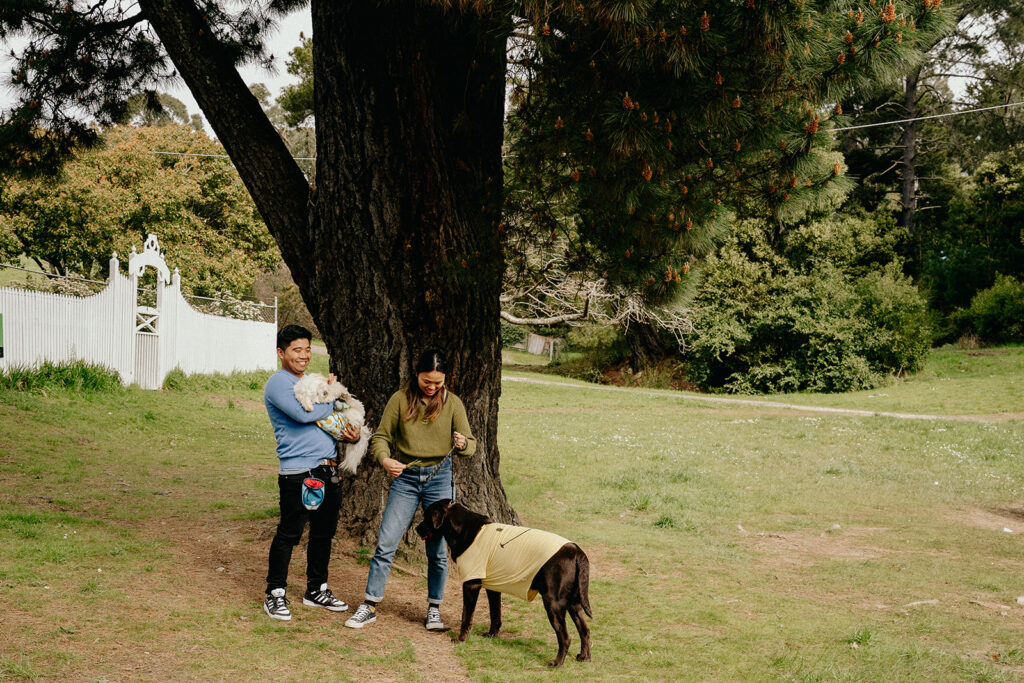 Engagement photos with dogs at Daylesford Lake