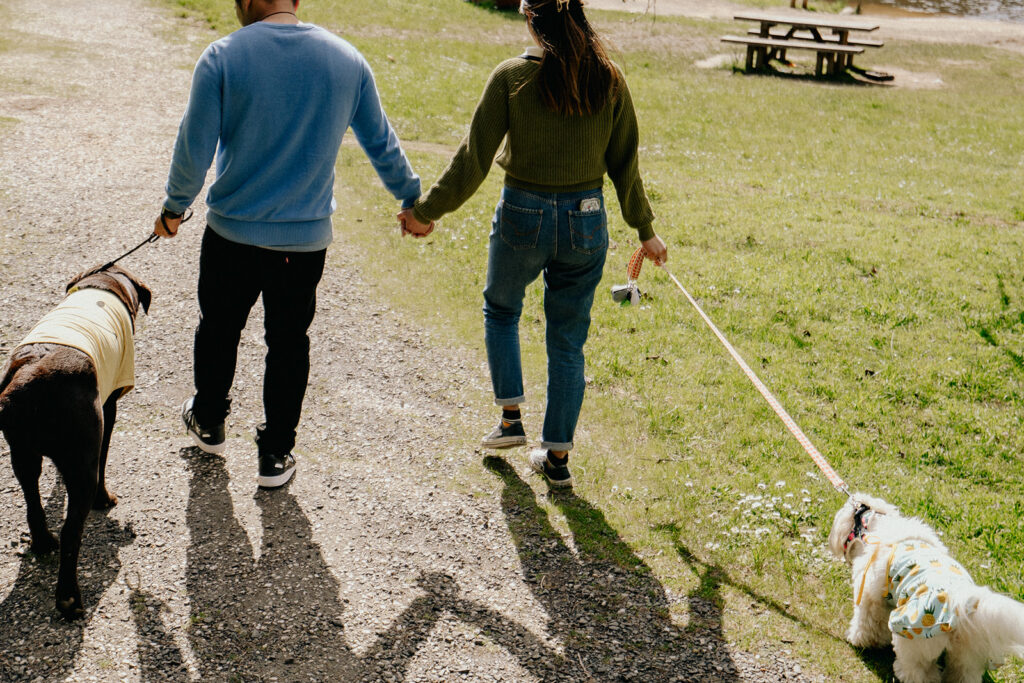 Engagement photos with dogs at Daylesford Lake - 4