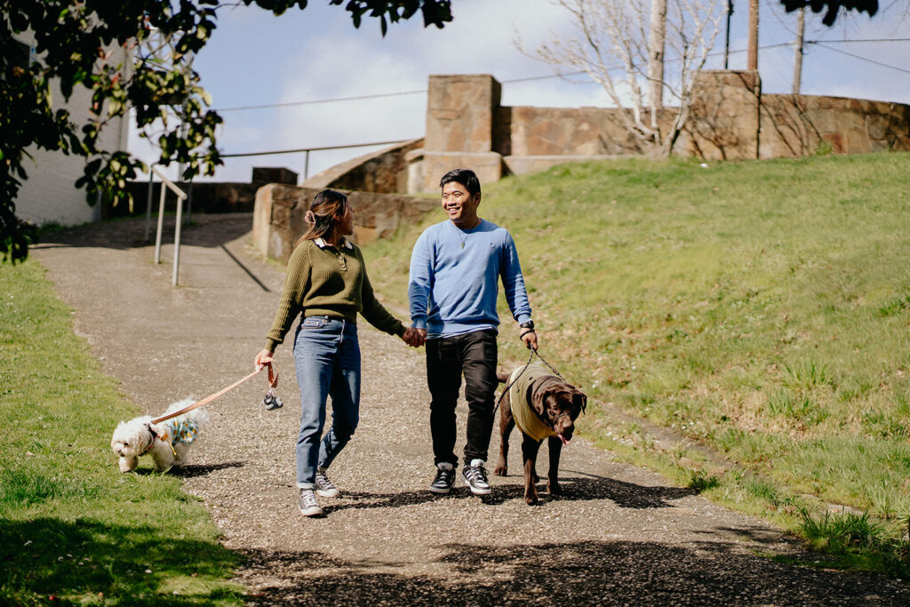 Engagement photos with dogs at Daylesford Lake - 3