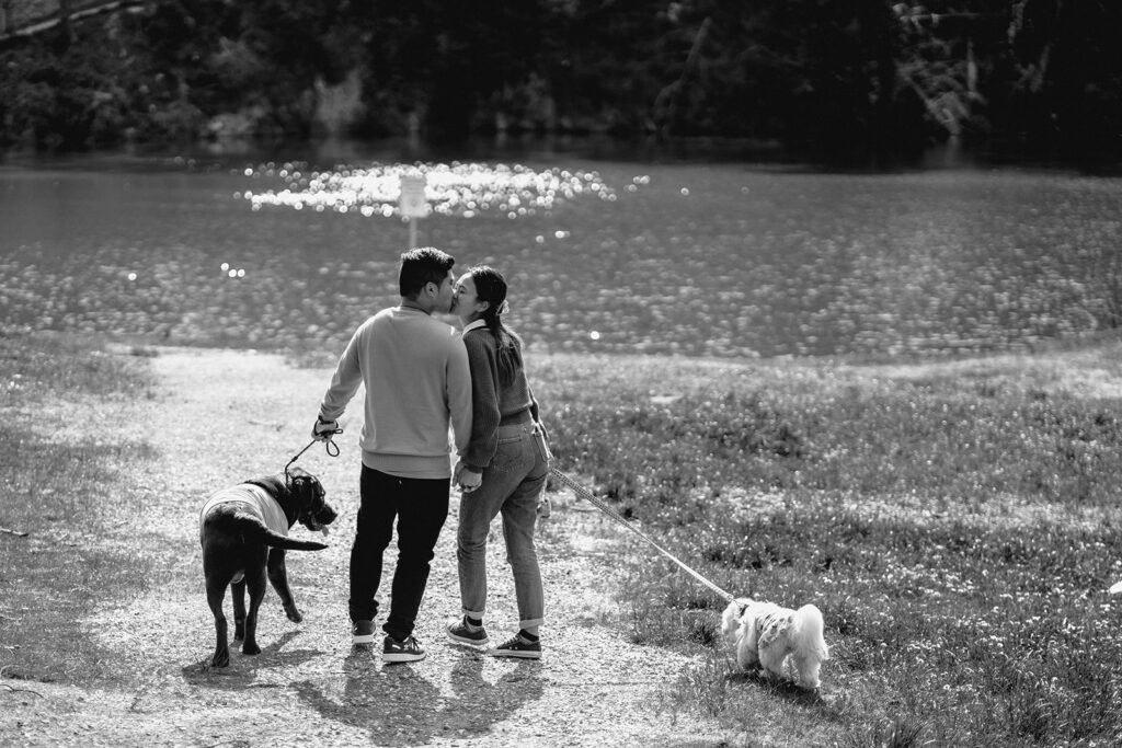 Engagement photos with dogs at Daylesford Lake - 5