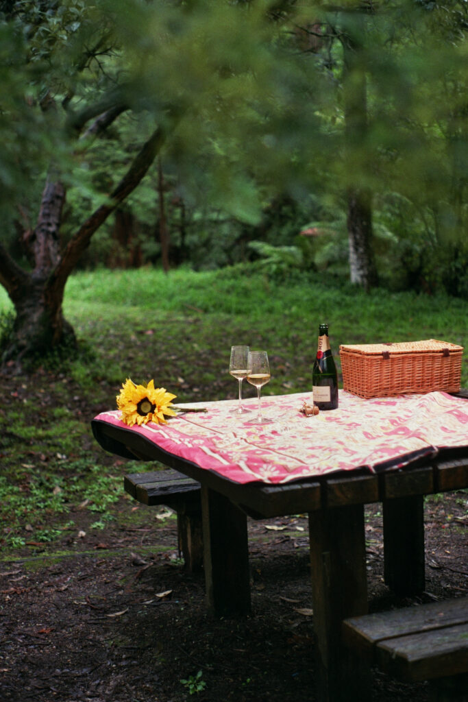 Two wine glasses left on a picnic table by a couple during their forest engagement session in Dandenong Ranges