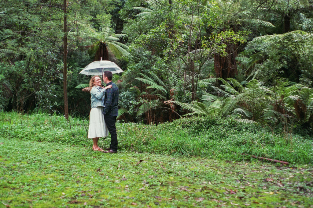 A couple standing under a clear umbrella in the Dandenong Ranges forest