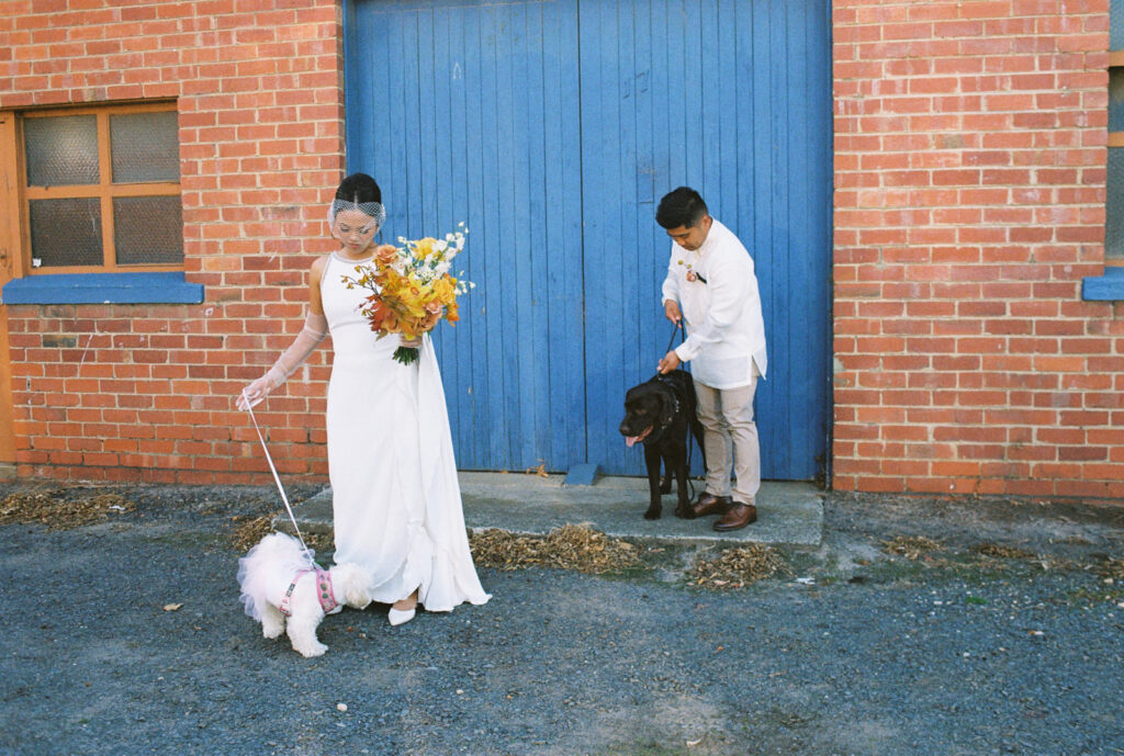 Bride and groom with their pet dogs at the Button Factory