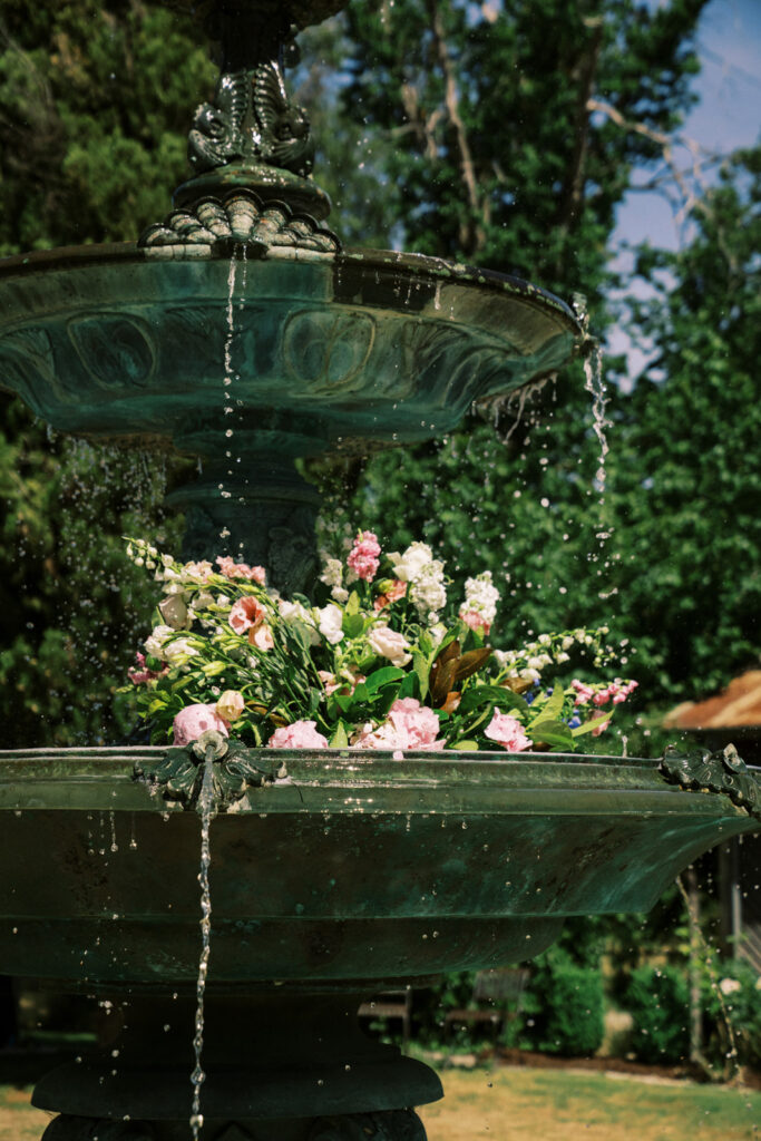 closeup photo of florals in the fountain